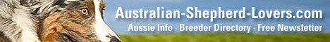 Australian-Shepherd-Lovers.com - All About Your Favorite Breed. Information and resources featuring sections on Australian Shepherd history, health, genetics, temperament, training and agility with directories of rescue organizatons and breeders.