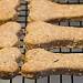 Homemade dog treats in bone shape on cooling rack