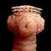 Close-up of tapeworm.