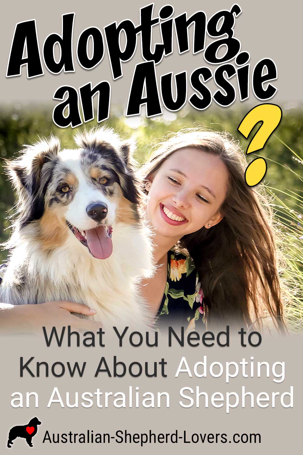 So you want to adopt an Australian Shepherd—good for you! In order to be sure about your choice to adopt an Aussie you need to learn as much as you can about this intelligent, active and engaging breed. #australianshepherd #aussie #dogs #doggos #aussielovers