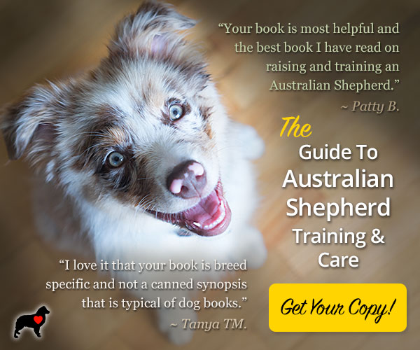 Dog Pet Supplies: Finding the Best Dog Product for Your Aussie