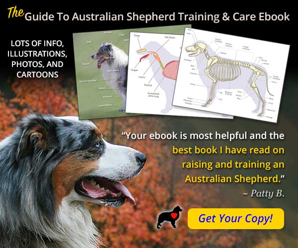 https://www.australian-shepherd-lovers.com/image-files/asl-ebook-mid-rec-002.jpg