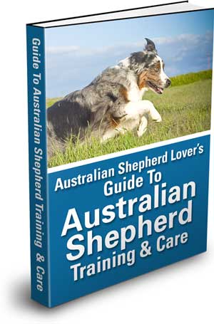 https://www.australian-shepherd-lovers.com/image-files/australian-shepherd-book-300.jpg