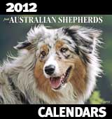 2012 Australian Shepherd Calendar