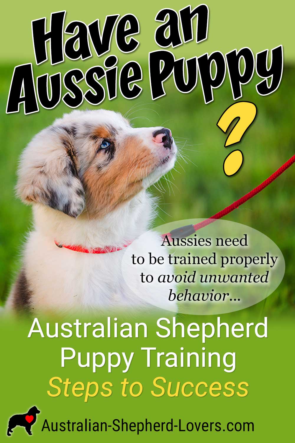 Australian Shepherd puppy training is extremely important and should begin as early as possible. Aussies are known for their intelligence and need to be trained properly to avoid unwanted behavior. #australianshepherd #aussie #dogtraining #puppytraining #aussielovers