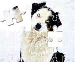 Australian Shepherd Puzzle