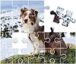 Australian Shepherd Puzzle