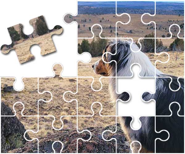 Australian Shepherd Puzzle