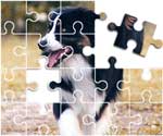 Australian Shepherd Puzzle