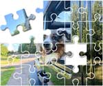 Australian Shepherd Puzzle