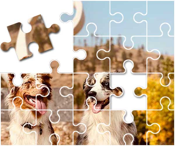 Australian Shepherd Puzzle