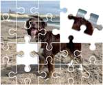 Australian Shepherd Puzzle