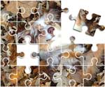 Australian Shepherd Puzzle