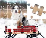 Australian Shepherd Puzzle