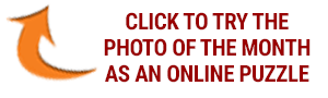 Click to try this photo as an online puzzle.