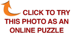 Click to try this photo as an online puzzle.