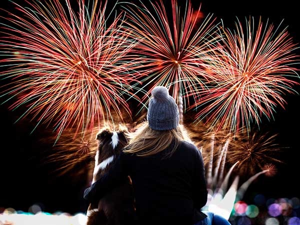 Have a Calm Dog During Fireworks: Easy Steps You Can Take - Photo: Lady and Australian Shepherd watching fireworks.