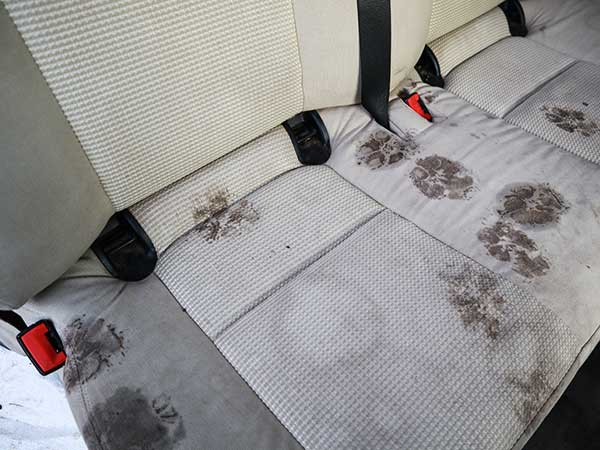 What You Need To Know About Car Seat Covers For Dogs - Photo: Dirty backseat of car covered in stains and paw prints.