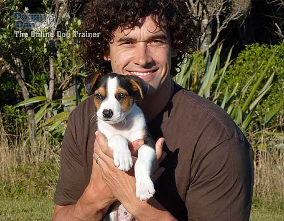 Australian Shepherd Training | Puppy Training and Dog Training - Photo: Blue merle Australian Shepherd with autumn leaves in background.