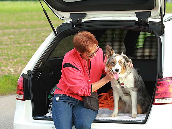 Proper Dog Park Etiquette Rules You May Not Be Aware Of - Photo: Woman sitting in hatchback of car with her Australian Shepherd.