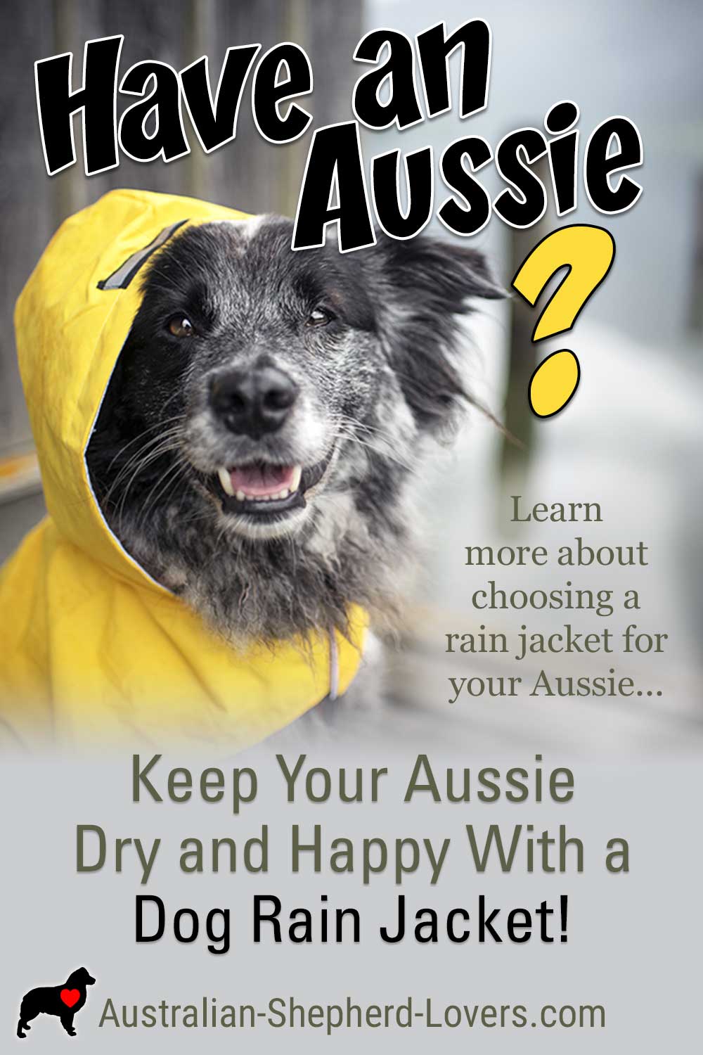 A dog rain jacket can really come in handy when the weather gets wet and miserable. Dogs still need to get out even in rain and snow. Why not keep your them dry and happy with a waterproof dog raincoat?
 #australianshepherd #doggear #dograincoat #dograinjacket #aussielovers
