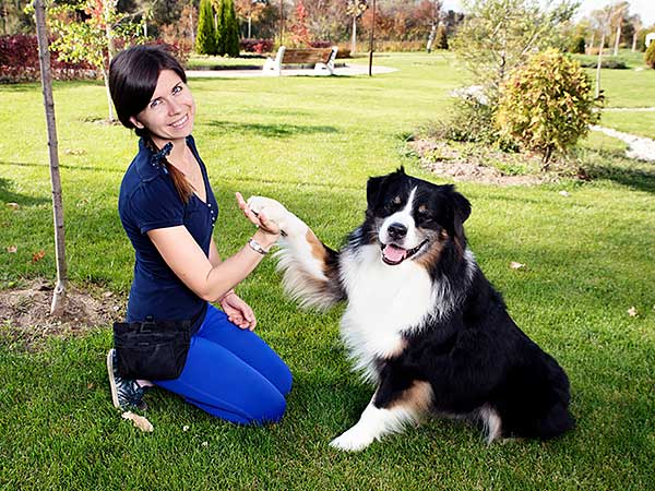 Dog Training Treats: Finding The Right Treats and Treat Bags - Photo: Lady wiith dog training treat bag high-fiving her dog.
