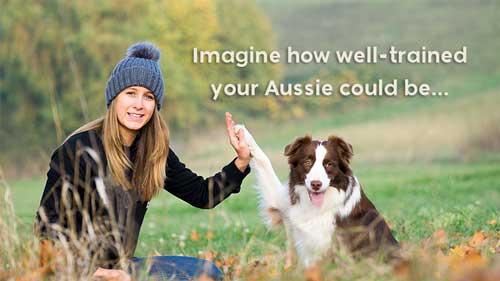 Imagine how well-

trained your Aussie could be...