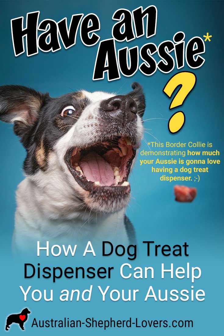 A dog treat dispenser can be a great way to interact with your dog when you're away from home and can keep your neighbors happy by allowing you to curb nuisance barking while you're out of the house. #australianshepherd #dogtreats #dogtreatdispenser #dogtraining #aussielovers