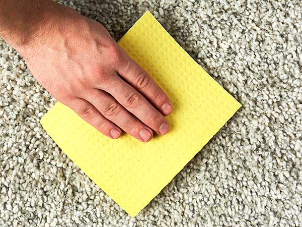Cleaning Dog Urine and Using a Dog Urine Neutralizer - Photo: Close-up of man's hand holding yellow blotter on carpet.