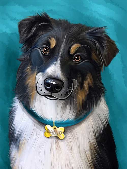 Australian Shepherd Digital Caricature Portrait