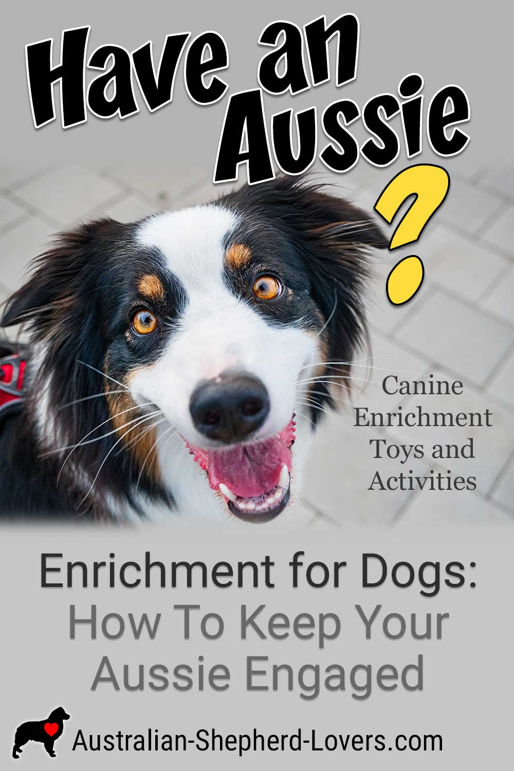 Enrichment for dogs doesn't just work their body, it works their brain as well and is vital in order to have a happy, well-balanced and engaged dog. Aussies love canine enrichment toys and activities. #australianshepherd #aussie #dogtoys #dogactivities #aussielovers