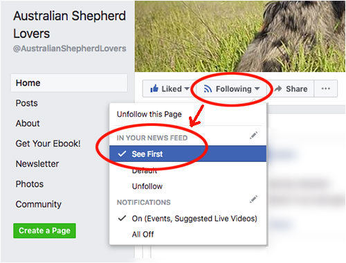 Australian Shepherd Lovers Facebook Screenshot