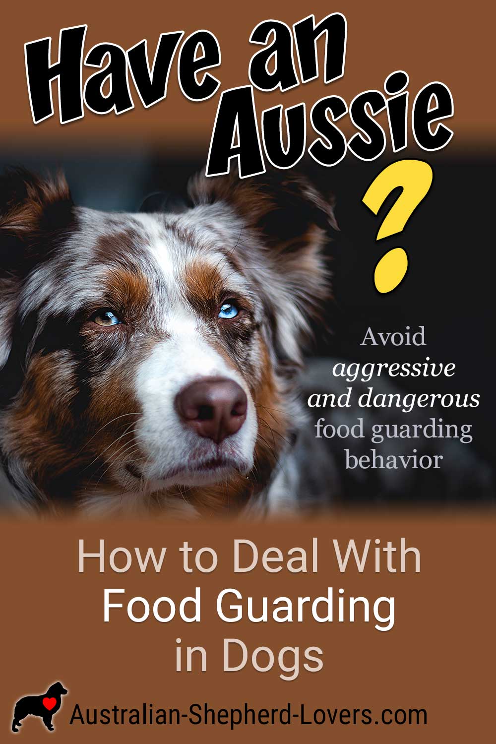 How To Stop Guarding Behavior In Dogs