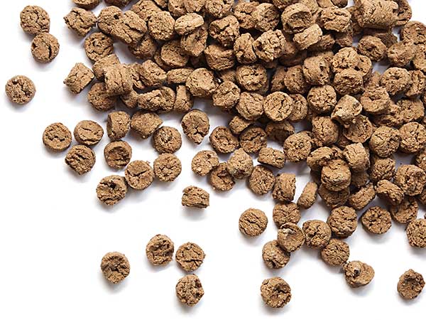 Freeze-Dried Dog Food: Is It The Right Choice For Your Dog? - Photo: Freeze dried beef liver treats for dogs.