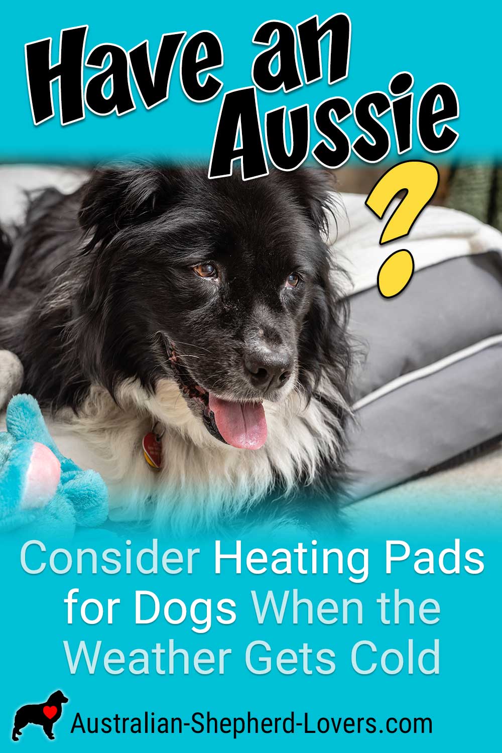 Consider Heating Pads for Dogs When the Weather Gets Cold