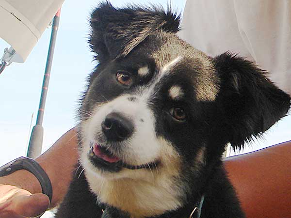 Lila looking down below from the cockpit of our small boat.