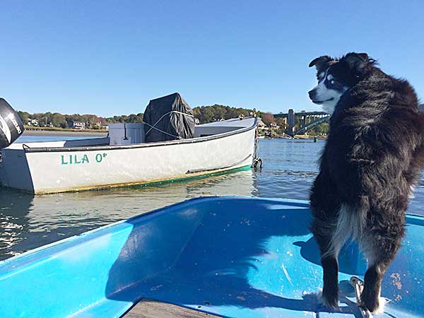 Lila on the bow of our skiff.