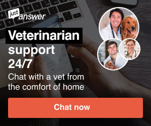 Just Answer - Veterinarian Support 24/7