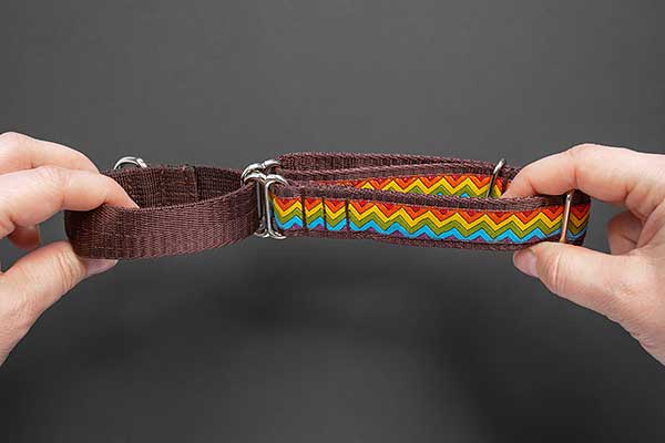 Better Leash Manners: Martingale Dog Collar and Harness - Photo: Girl holding martingale collar in the fully tightened position.