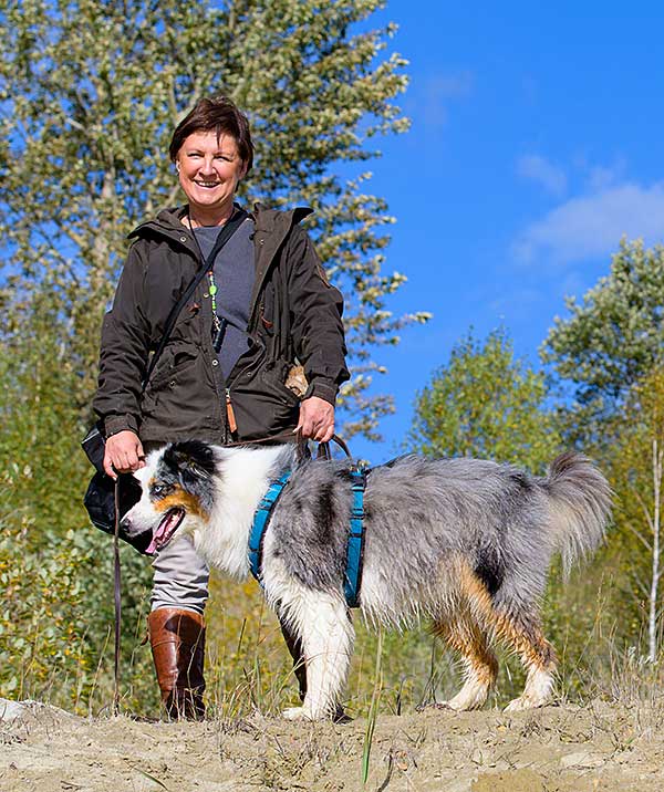 Better Leash Manners: Martingale Dog Collar and Harness - Photo: Australian Shepherd wearing dog harness outdoors with trainer.