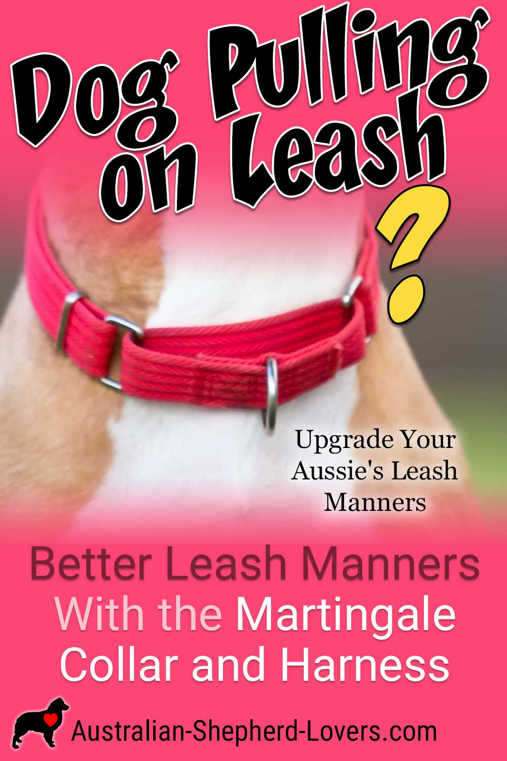 The Halti dog harness was created to address one of the biggest issues for most dog owners, pulling on the leash. Dogs who get overly excited or aggressive on-leash present a real problem for owners. #australianshepherd #aussie #dogtraining #puppytraining #aussielovers