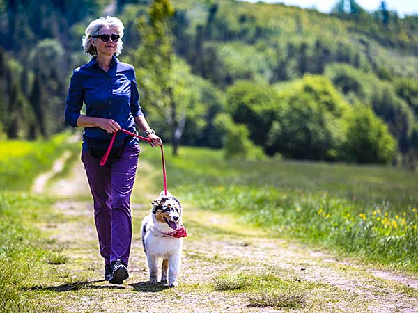 The Benefits of Online Dog Training vs Expensive In-Person Training - Photo: Lady walking outdoors with Australian Shepherd.