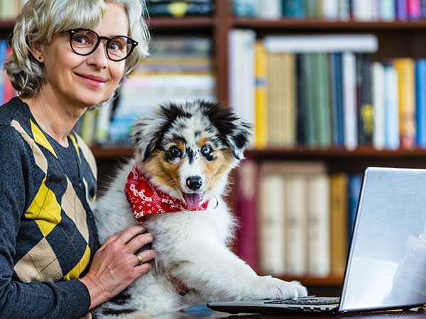 The Benefits of Online Dog Training vs Expensive In-Person Training - Photo: Lady on her laptop with Australian Shepherd.