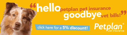 Get a Quote for PetPlan Pet Insurance