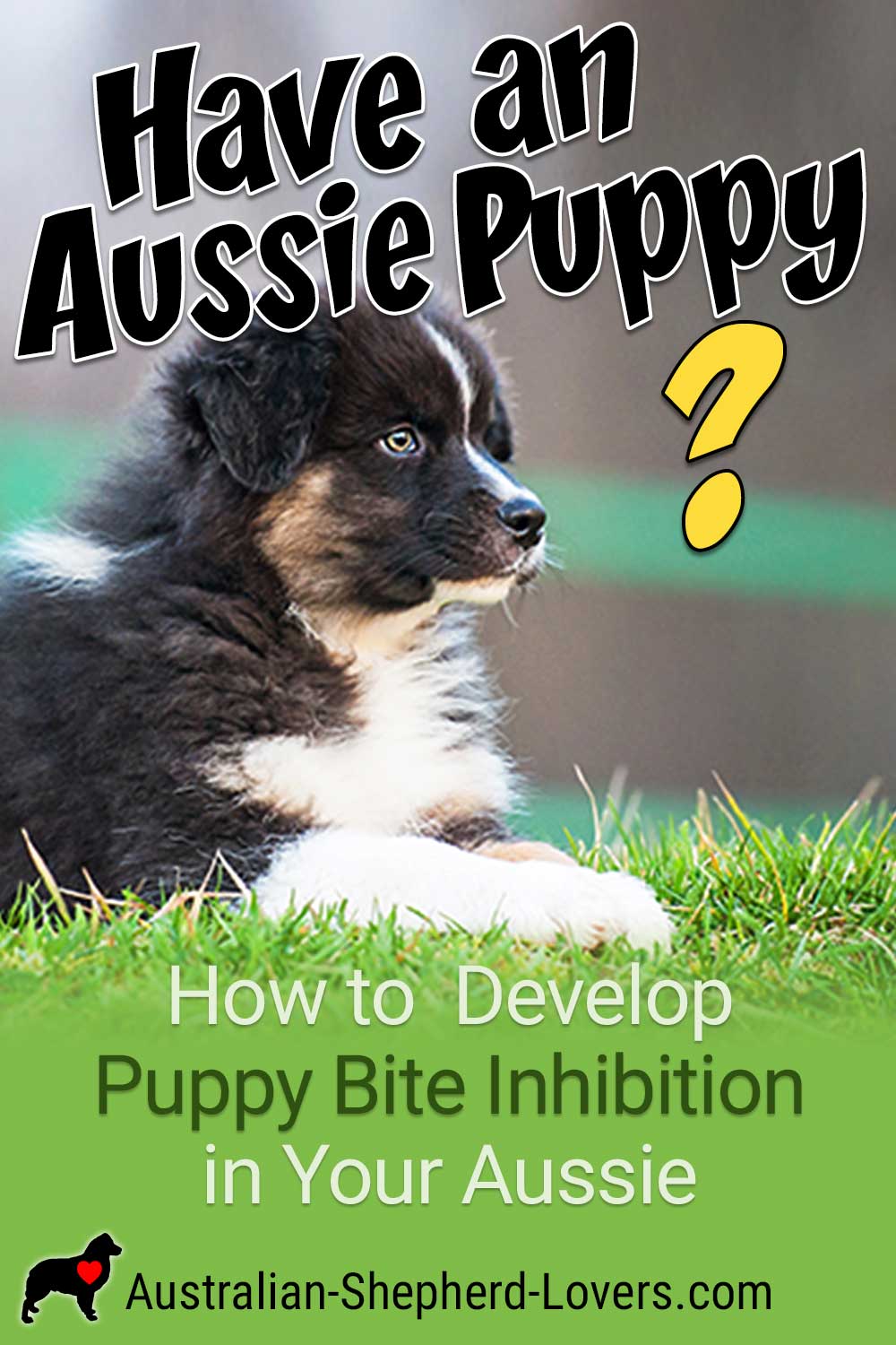 How to Develop Puppy Bite Inhibition in Your New Australian Shepherd