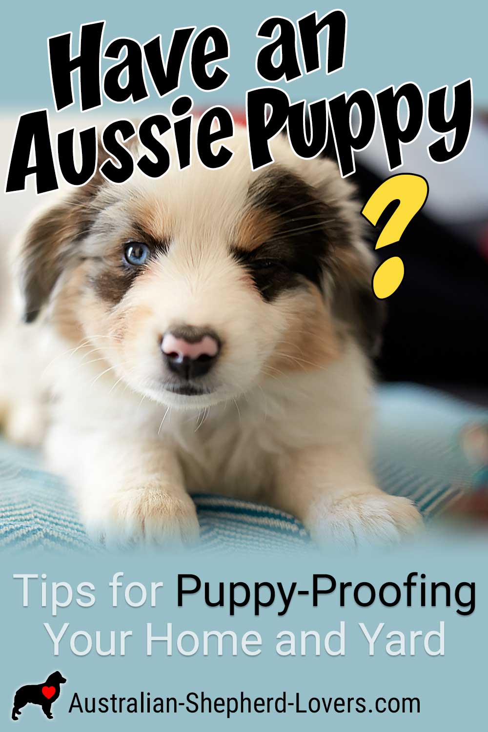 Puppy-proofing is a way to ensure that both your house and yard are safe environments for your new Aussie. Some items that may seem fairly safe could actually present a tremendous threat to your puppy. #australianshepherd #puppyproofing #puppydevelopment #puppystages #aussielovers