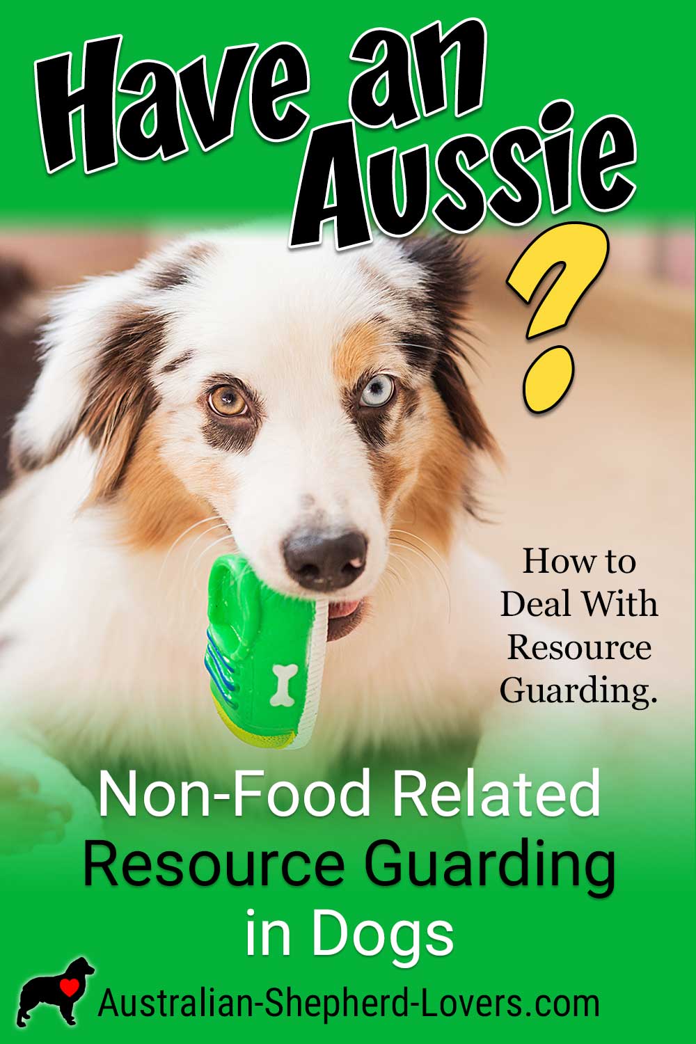 What is resource guarding in dogs, and how can you recognize it? Simply put, it is when a dog acts aggressively protective of something. This behavior in dogs can become dangerous if it isn't addressed. #australianshepherd #resourceguarding #dogtraining #puppytraining #aussielovers