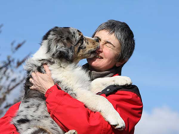 The Secret to Stopping Your Dog From Licking You and Others - Photo: Australian Shepherd licking the face of a lady.