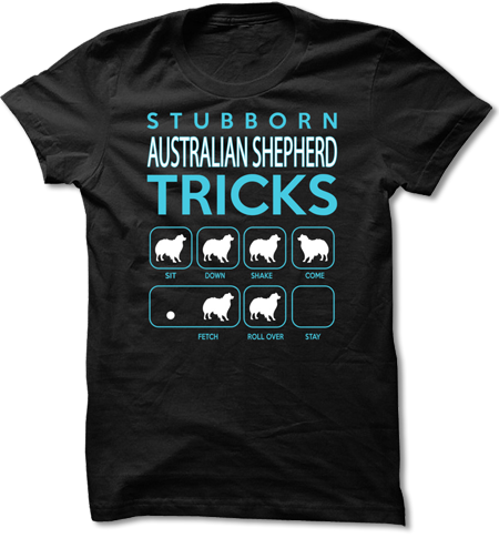 Stubborn Australian Shepherd Tricks