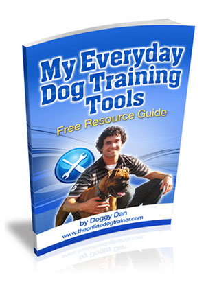 My Everyday Dog Training Tools By Professional Dog Trainer, "Doggy Dan"
